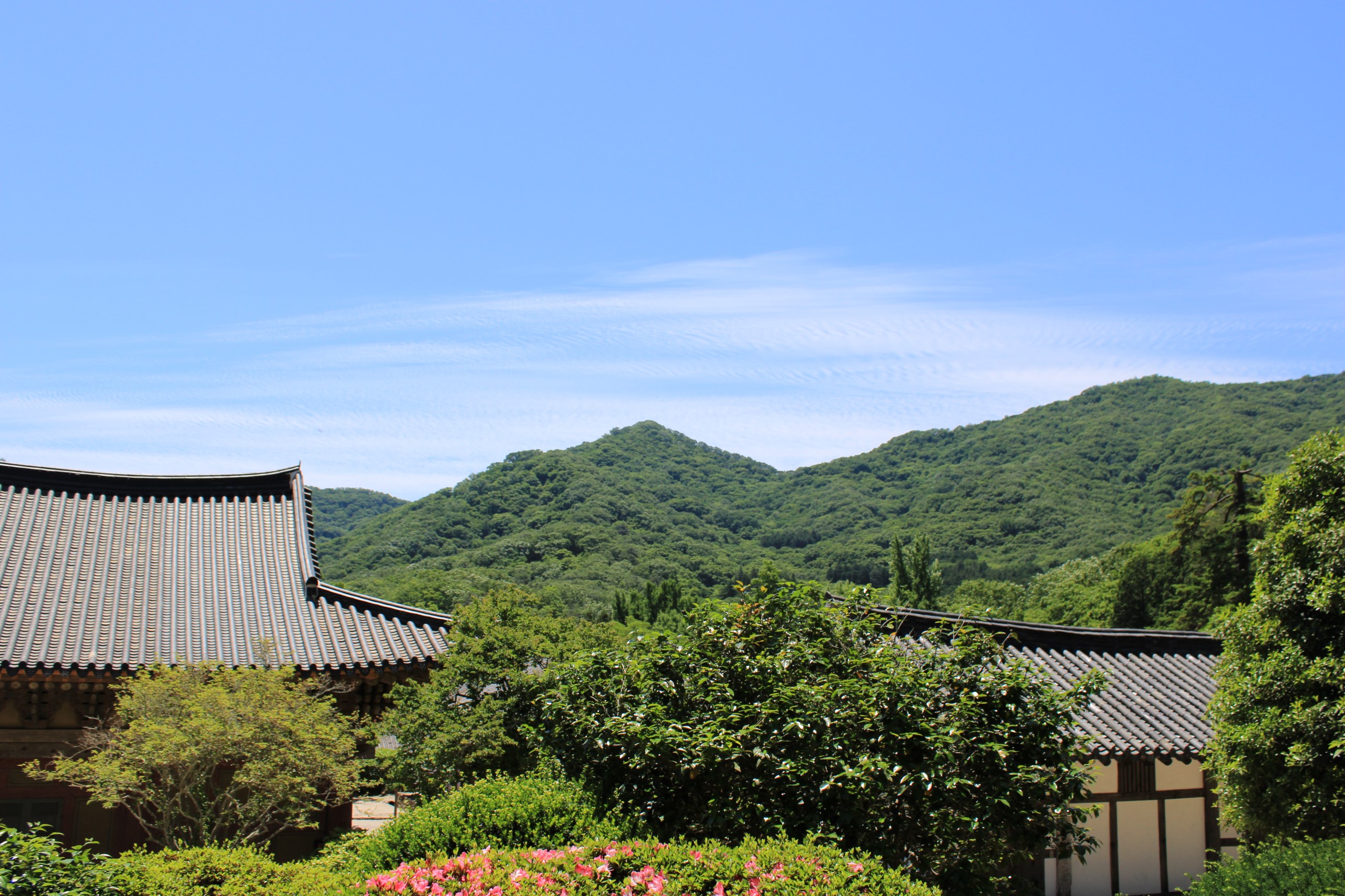 The tiled roof of a traditional Korean hanok in front of layered green mountains under a blue sky